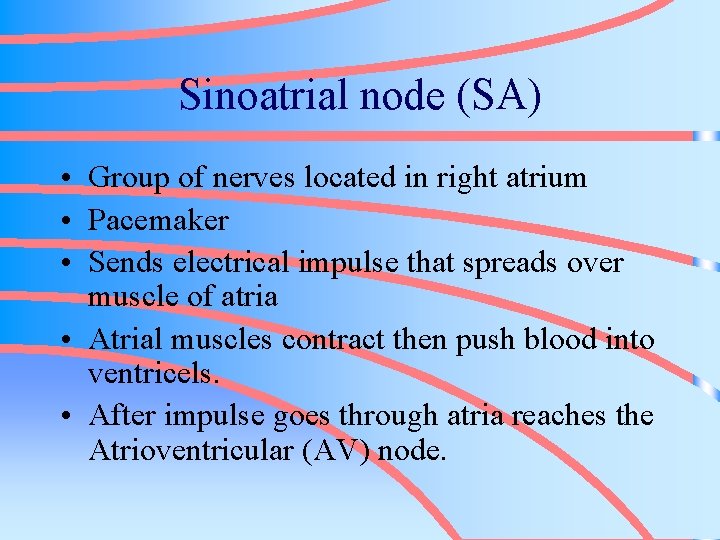 Sinoatrial node (SA) • Group of nerves located in right atrium • Pacemaker •