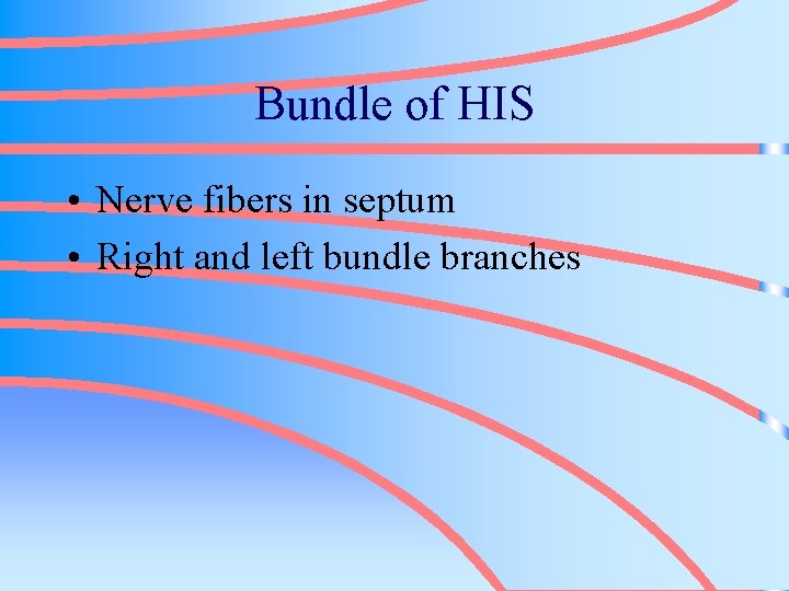 Bundle of HIS • Nerve fibers in septum • Right and left bundle branches