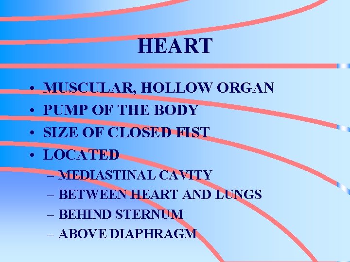 HEART • • MUSCULAR, HOLLOW ORGAN PUMP OF THE BODY SIZE OF CLOSED FIST