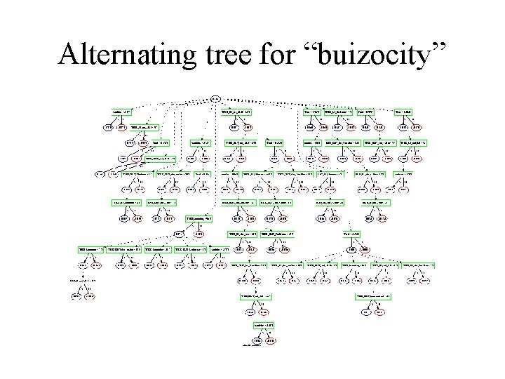 Alternating tree for “buizocity” 