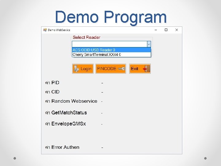 Demo Program 