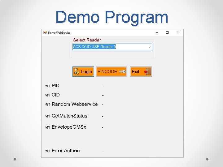 Demo Program 