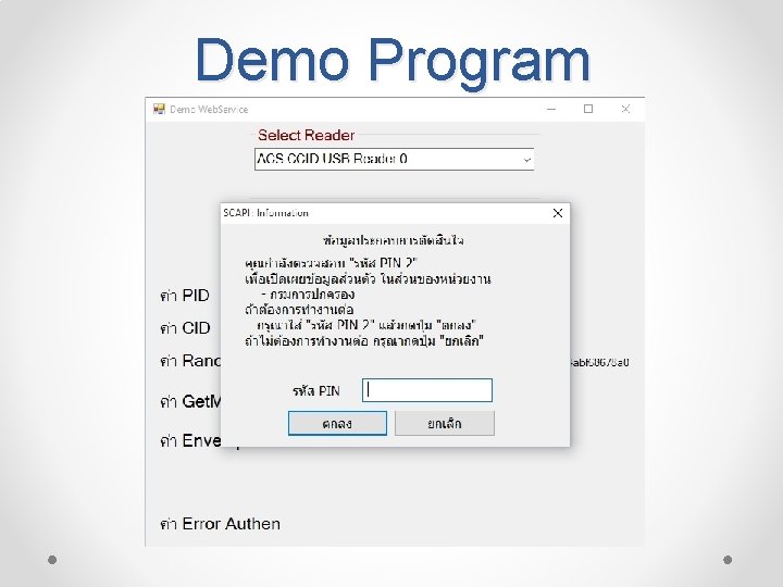 Demo Program 
