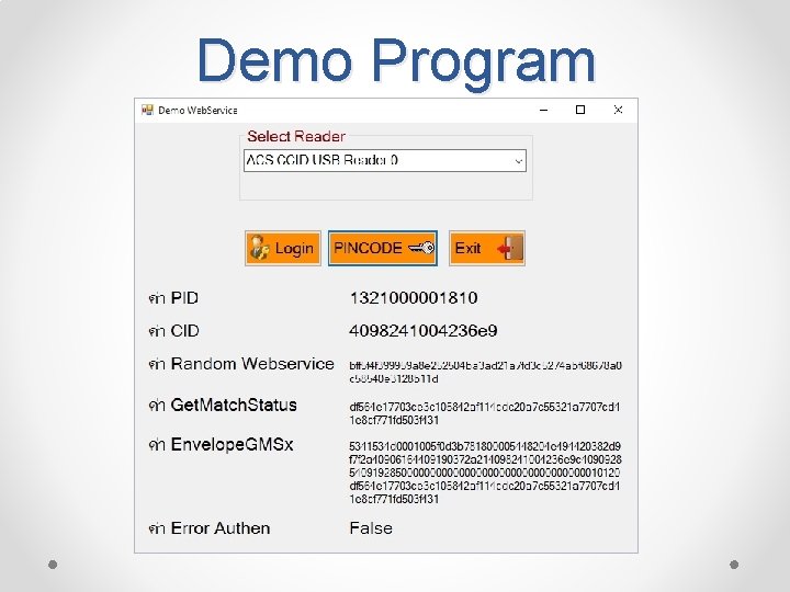 Demo Program 