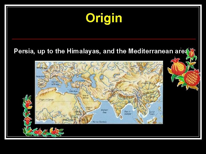 Origin Persia, up to the Himalayas, and the Mediterranean area. 
