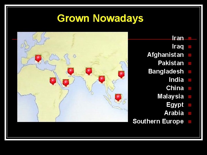 Grown Nowadays Iran Iraq Afghanistan Pakistan Bangladesh India China Malaysia Egypt Arabia Southern Europe