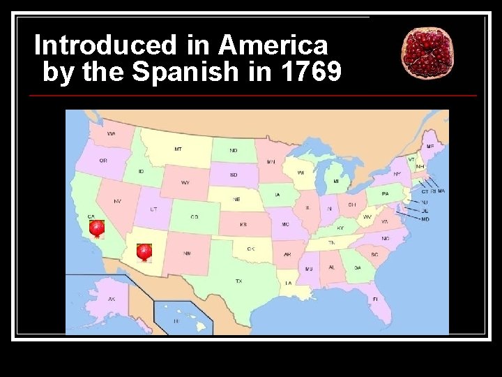 Introduced in America by the Spanish in 1769 