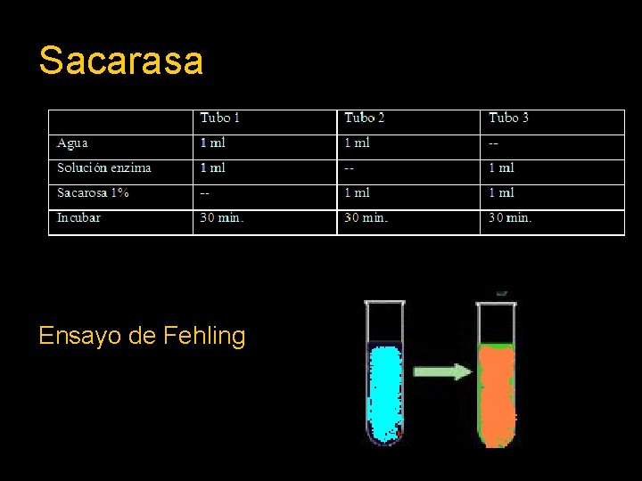 Sacarasa Ensayo de Fehling 