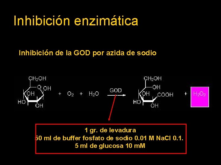 Inhibición enzimática Inhibición de la GOD por azida de sodio 1 gr. de levadura