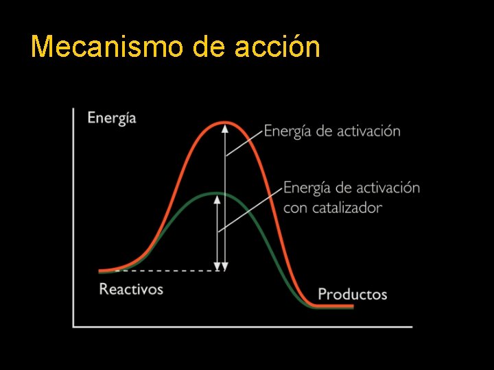 Mecanismo de acción 