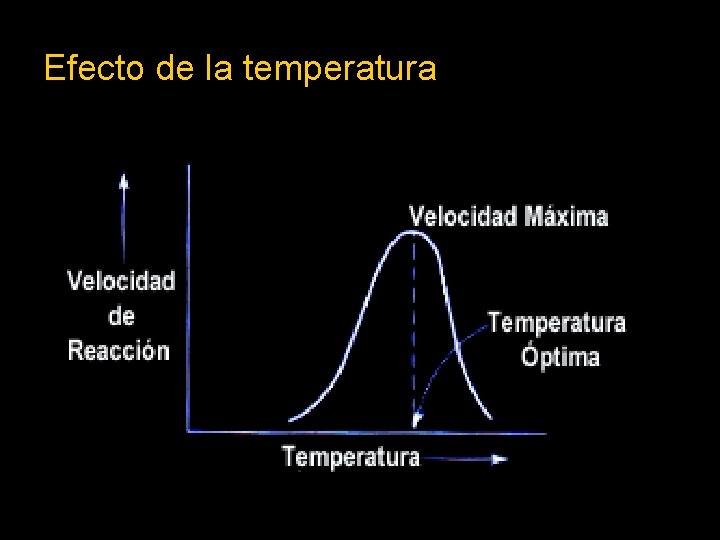 Efecto de la temperatura 