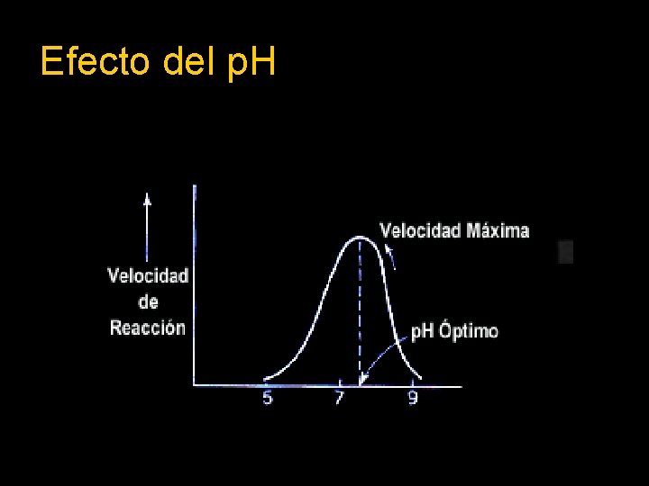 Efecto del p. H 