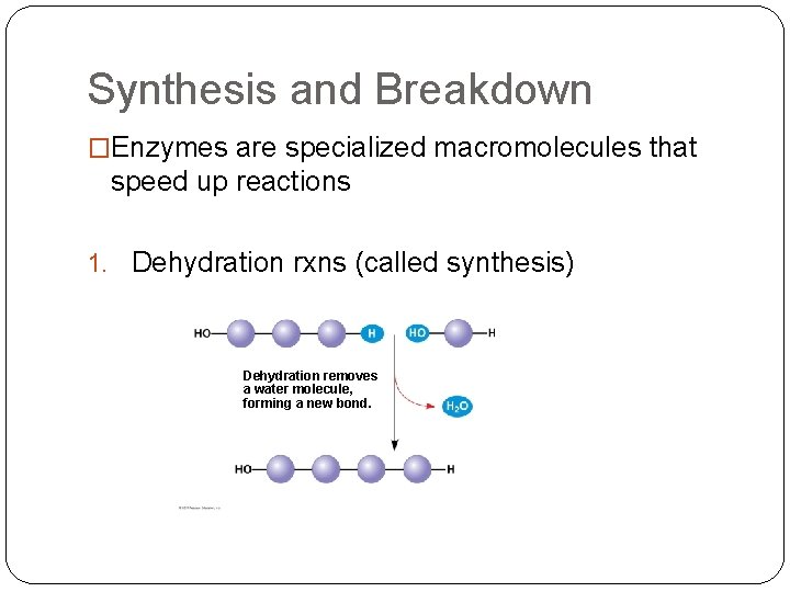 Synthesis and Breakdown �Enzymes are specialized macromolecules that speed up reactions 1. Dehydration rxns