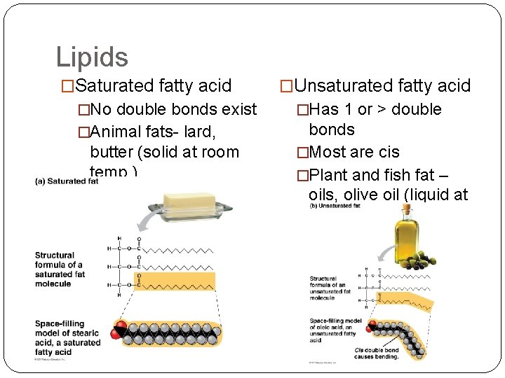 Lipids �Saturated fatty acid �Unsaturated fatty acid �No double bonds exist �Has 1 or
