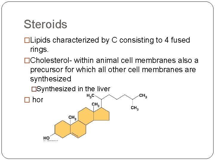 Steroids �Lipids characterized by C consisting to 4 fused rings. �Cholesterol- within animal cell