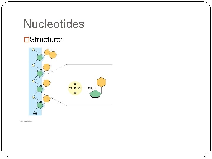 Nucleotides �Structure: 
