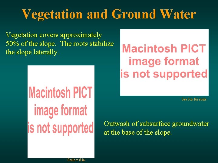 Vegetation and Ground Water Vegetation covers approximately 50% of the slope. The roots stabilize