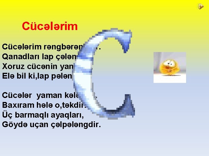 Cücələrim rəngbərəngdir. Qanadları lap çələngdir. Xoruz cücənin yanında, Elə bil ki, lap pələngdir. Cücələr