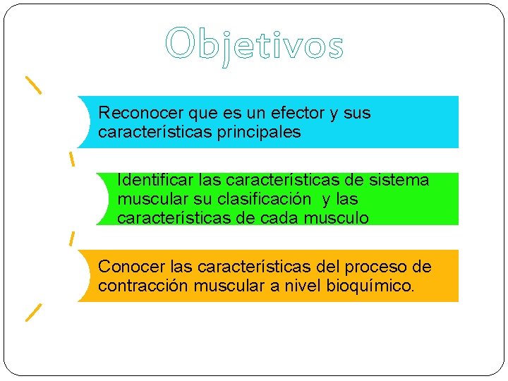 Objetivos Reconocer que es un efector y sus características principales Identificar las características de