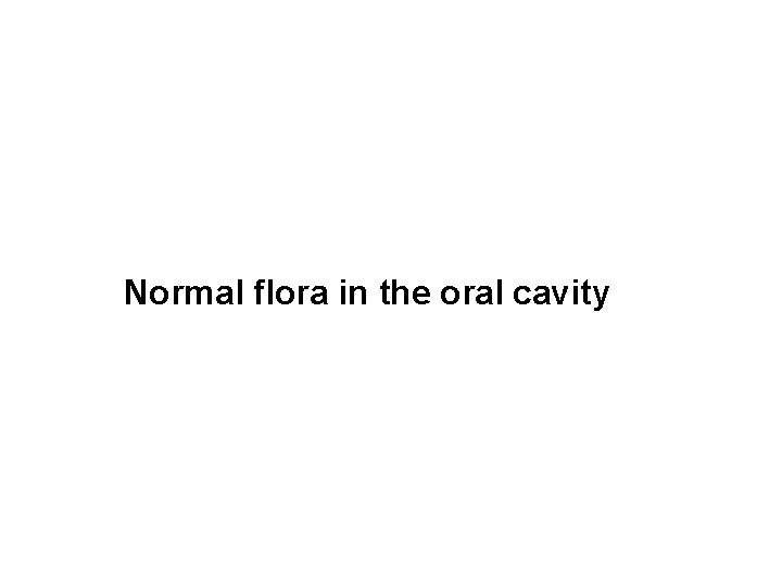 Normal flora in the oral cavity 