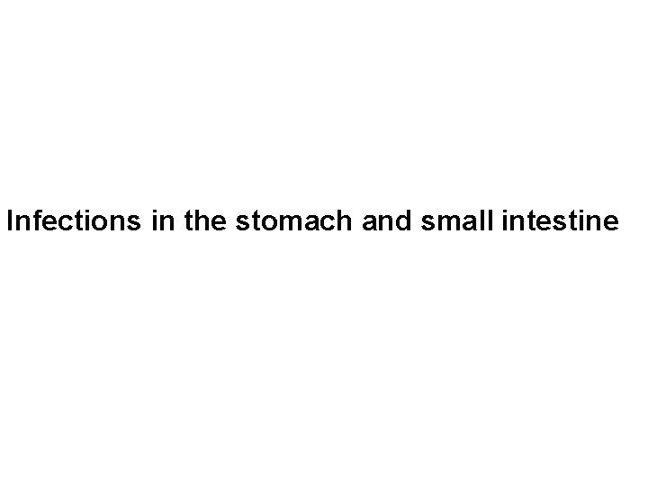 Infections in the stomach and small intestine 