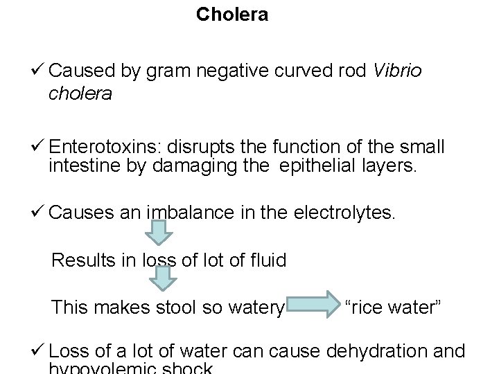 Cholera Caused by gram negative curved rod Vibrio cholera Enterotoxins: disrupts the function of