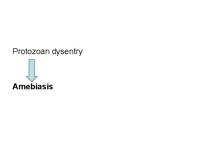 Protozoan dysentry Amebiasis 