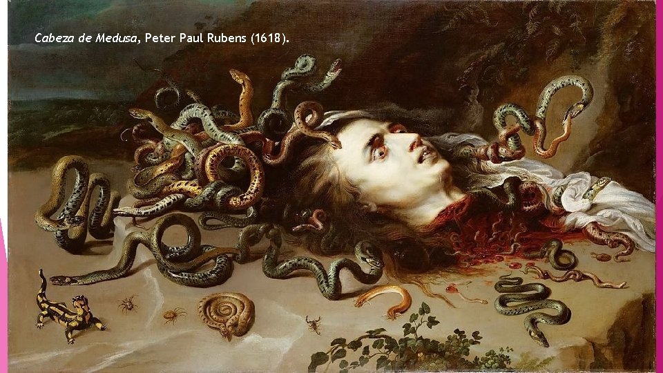 Cabeza de Medusa, Peter Paul Rubens (1618). 