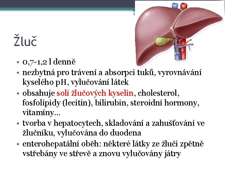 Žluč • 0, 7 -1, 2 l denně • nezbytná pro trávení a absorpci