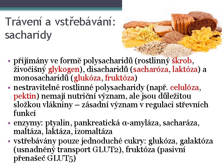 Trávení a vstřebávání: sacharidy • přijímány ve formě polysacharidů (rostlinný škrob, živočišný glykogen), disacharidů