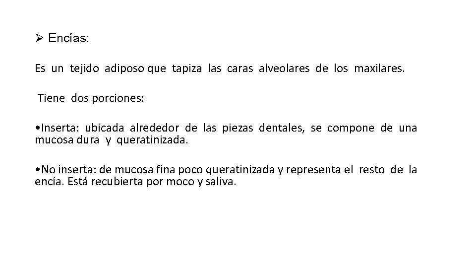 Ø Encías: Es un tejido adiposo que tapiza las caras alveolares de los maxilares.