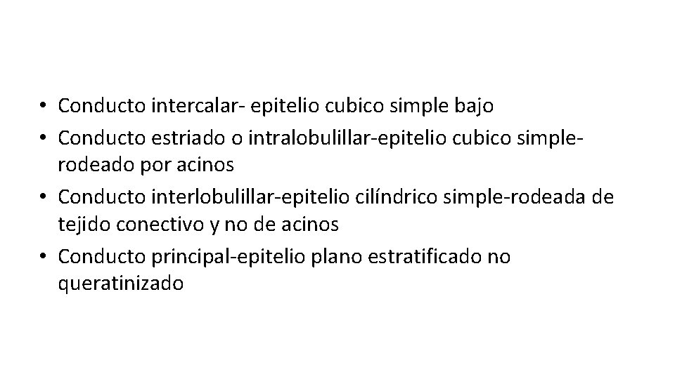  • Conducto intercalar- epitelio cubico simple bajo • Conducto estriado o intralobulillar-epitelio cubico