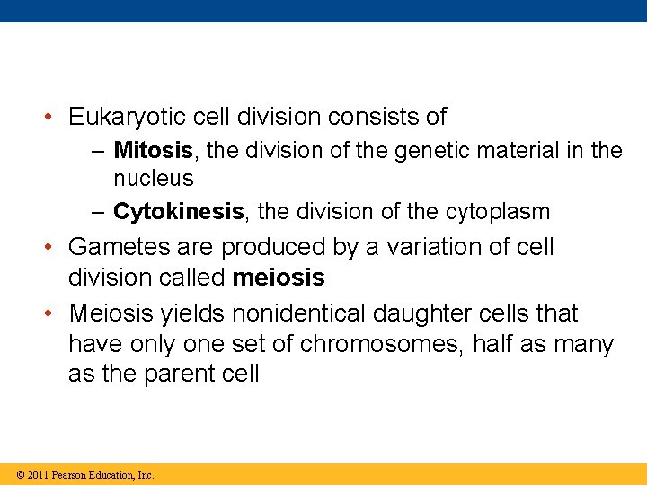  • Eukaryotic cell division consists of – Mitosis, the division of the genetic