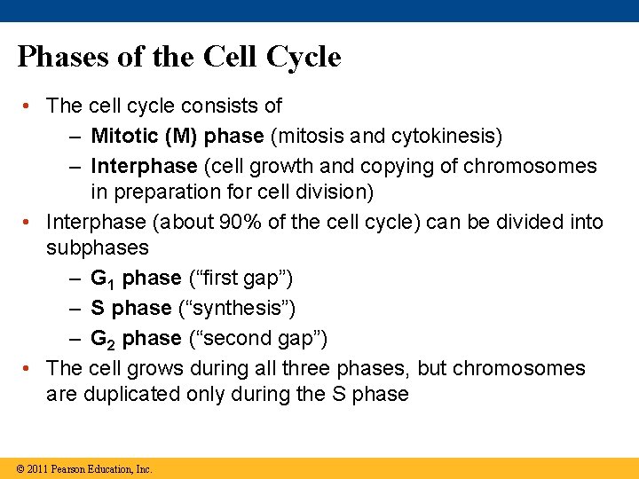 Phases of the Cell Cycle • The cell cycle consists of – Mitotic (M)