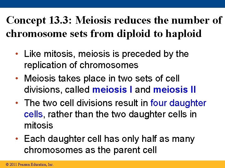 Concept 13. 3: Meiosis reduces the number of chromosome sets from diploid to haploid