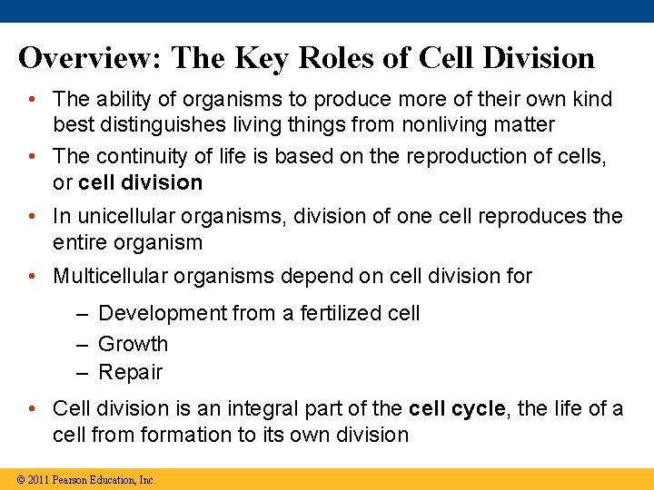 Overview: The Key Roles of Cell Division • The ability of organisms to produce