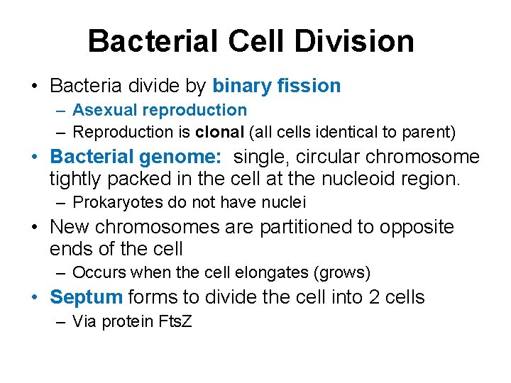 Bacterial Cell Division • Bacteria divide by binary fission – Asexual reproduction – Reproduction