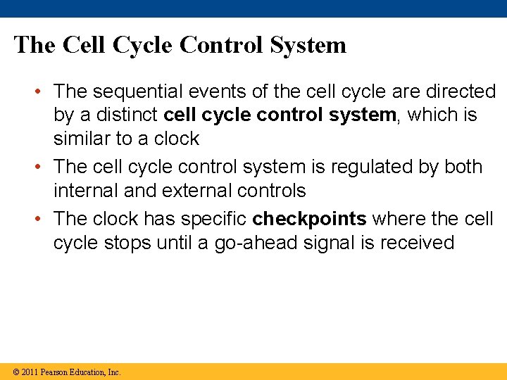 The Cell Cycle Control System • The sequential events of the cell cycle are