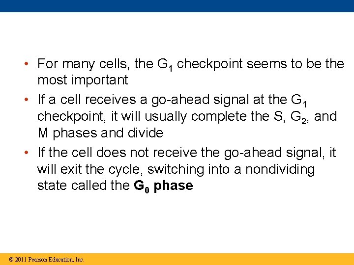  • For many cells, the G 1 checkpoint seems to be the most