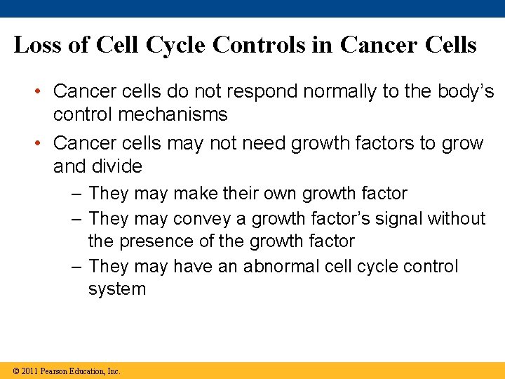 Loss of Cell Cycle Controls in Cancer Cells • Cancer cells do not respond