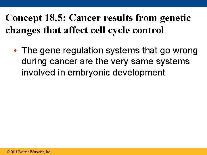 Concept 18. 5: Cancer results from genetic changes that affect cell cycle control •