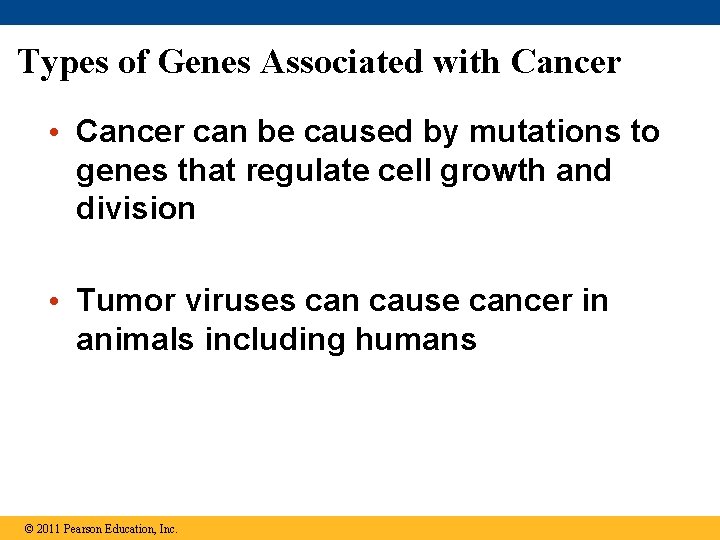 Types of Genes Associated with Cancer • Cancer can be caused by mutations to