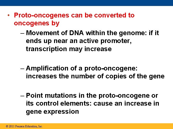  • Proto-oncogenes can be converted to oncogenes by – Movement of DNA within