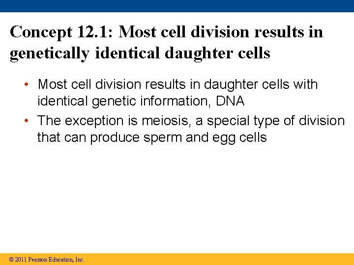 Concept 12. 1: Most cell division results in genetically identical daughter cells • Most