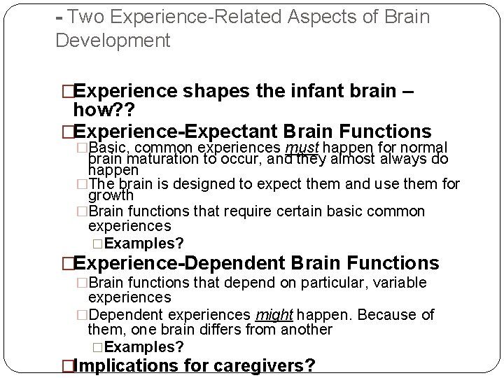 - Two Experience-Related Aspects of Brain Development �Experience shapes the infant brain – how?