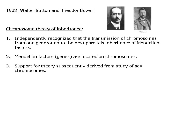 1902: Walter Sutton and Theodor Boveri Chromosome theory of inheritance: 1. Independently recognized that