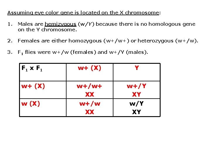 Assuming eye color gene is located on the X chromosome: 1. Males are hemizygous