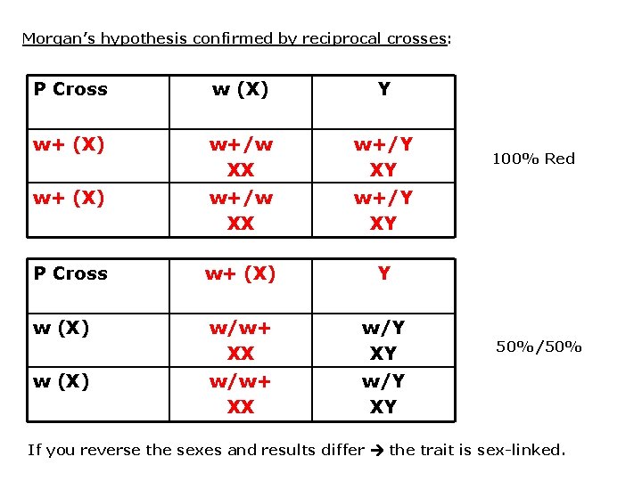 Morgan’s hypothesis confirmed by reciprocal crosses: P Cross w (X) Y w+ (X) w+/w