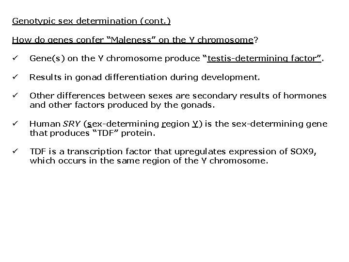 Genotypic sex determination (cont. ) How do genes confer “Maleness” on the Y chromosome?