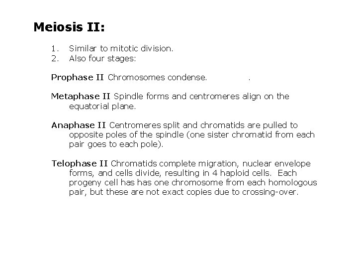 Meiosis II: 1. 2. Similar to mitotic division. Also four stages: Prophase II Chromosomes